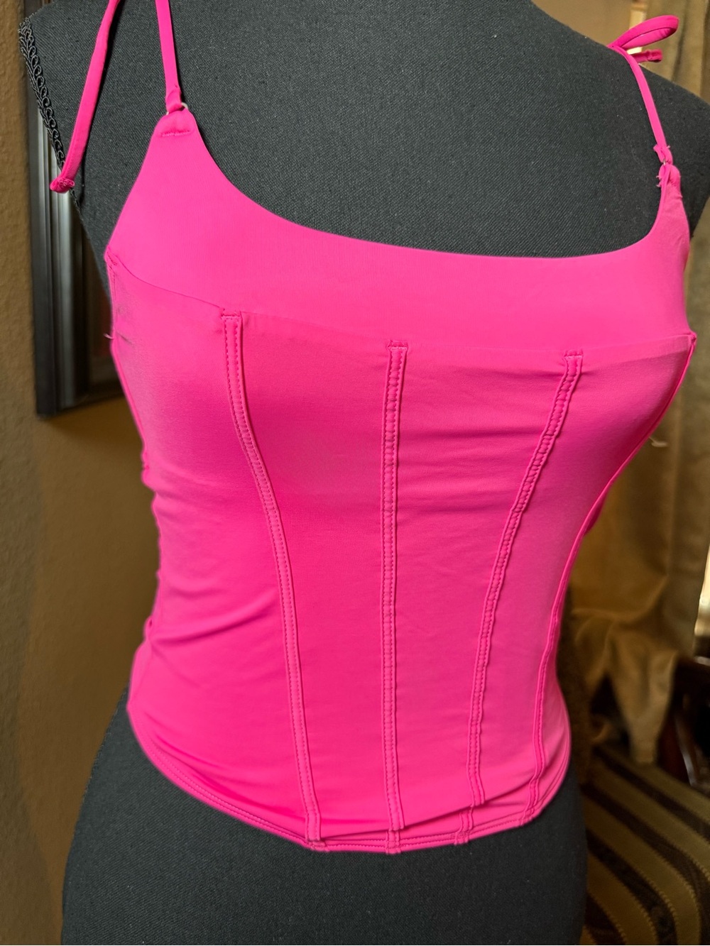 Gilly Hicks Hot Pink Corset-Style Cami